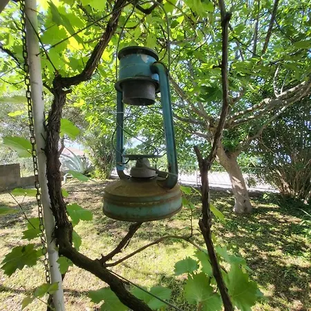 Rustic Maslenica