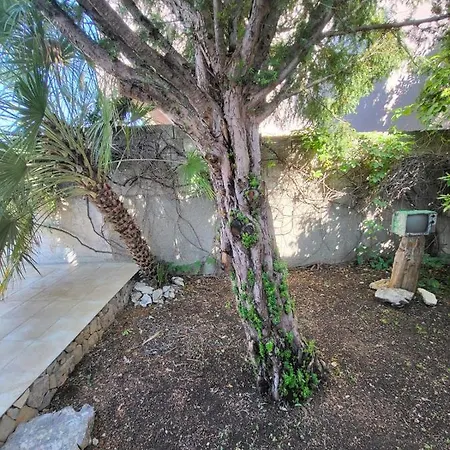 Rustic * מסלניקה