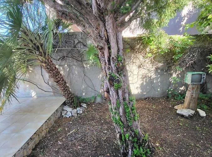 Rustic * Масленица